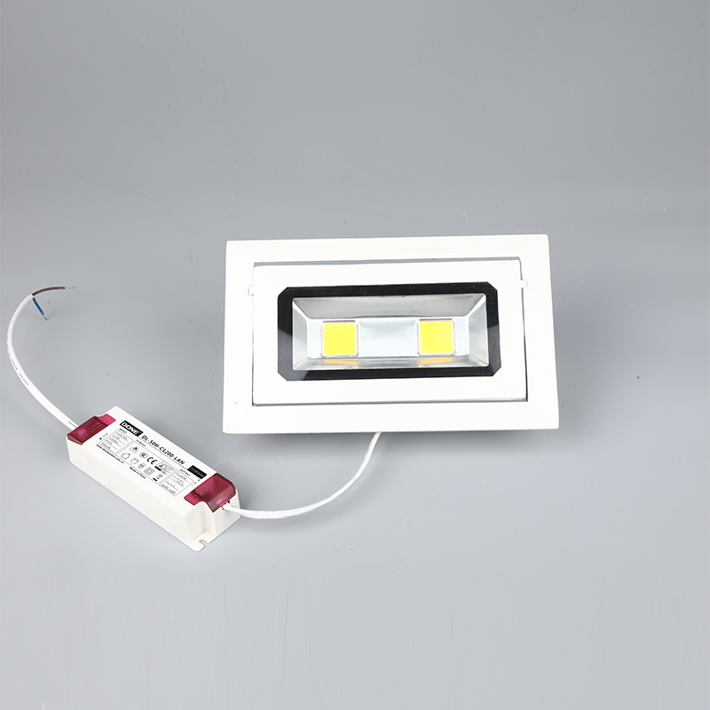 LED ফ্লাডলাইট ফ্লাড লাইট